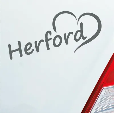 Produktbild von Auto Aufkleber Herford Herz Stadt City Liebe Love Heimat 18x8 cm Grau Sticker Heckscheibenaufkleber