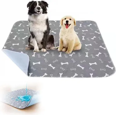Produktbild von Hunde-Urindecke 70 x 80 cm, für Hunde, wasserdicht, waschbar, wiederverwendbar
