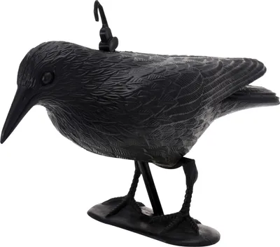 Kestek Vogelscheuche Rabe Krähe 35x19x13cm Taubenschreck Taubenabwehr Vogelabwehr Vogelschreck schwarz Tauben Vogel Abwehr Schreck 4066986400353 372906 40035 stabilo-fachmarkt.de