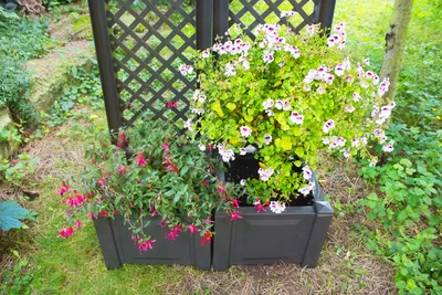 Produktbild von KHW Pflanzkästen mit Spalier, Anthrazit, 86x43x140 cm, 2er Set - aus hochwertigem Kunststoff, wetterfest, UV-stabil, pflegeleicht, werkzeuglose Montage, für Kübel- & Rankpflanzen, Sicht- & Windschutz