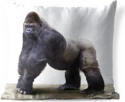 Produktbild von MuchoWow® Outdoor Kissen - Gorilla - Tiere - Jungen - Mädchen - Kinder - 60x60 cm - Wetterfest - Lounge Kissen - Dekoration - Schlaf Kissen