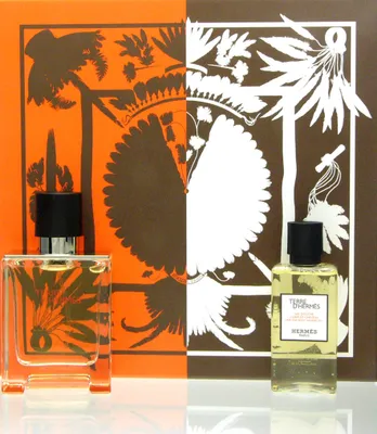 Produktbild von Hermes Terre D'Hermes Giftset Edt Spray 50ml/Hair and Body Shower Gel 40 ml 90 ml