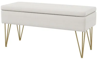 Obrázok produktu pre Úložná lavica pod posteľ | Farba: biela | Rozmery: 40 x 100 x 49 cm