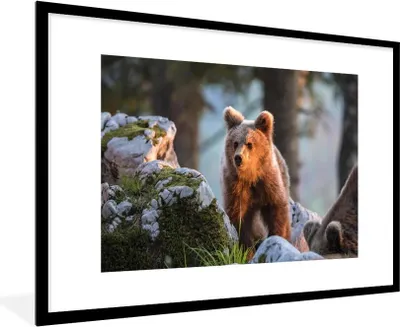 Produktbild von MuchoWow® MuchoWow® Gerahmtes Poster Bär - Braun - Tier 90x60 cm - Poster mit zchwarzem Bilderrahmen - Wanddekoration - Fotos