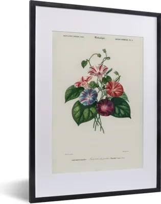 Produktbild von MuchoWow® MuchoWow® Gerahmtes Poster Blumen - Vintage - Blatt 30x40 cm - Poster mit zchwarzem Bilderrahmen - Wandposter Schlafzimmer