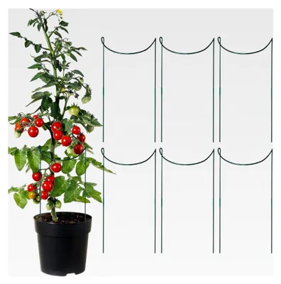 Produktbild von Pflanzenstützen, 6 Stück Kletterpflanzen Rankhilfe für den Garten | Rostfreies Metall Rankgitter für Pflanzenranken