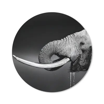 Produktbild von MuchoWow® Mauspad Mousepad Elefant - Wasser - Tiere - Schwarz - Weiß 30x30 cm - Mousepads - Maus Mat - Pad - Mausunterlage - Tischunterlage - Schreibtischmatten