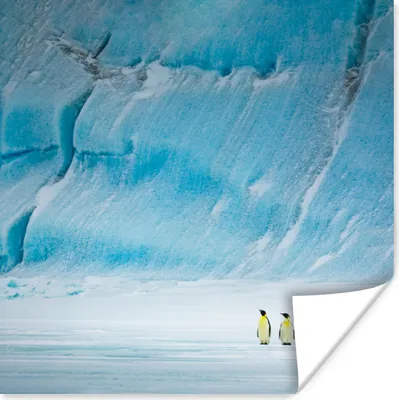 Produktbild von MuchoWow® Poster Zwei Kaiserpinguine vor einem Eisberg 50x50 cm - Wohnzimmerdekoration
