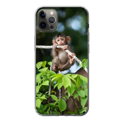 Produktbild von MuchoWow® Handyhülle Schutzhülle Hülle für iPhone 12 Pro Max Baby - Affe - Äste Silikon Softcase Handy Hülle - Hartschale