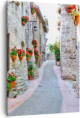 Produktbild von Bild auf Leinwand - Leinwandbild - Einteilig - Italien Straße Blumen Geschichte - 50x70cm - Wand Bild - Wandbilder - Leinwanddruck - Wanddekoration - Leinwand bilder - Wandbild - PA50x70-2817
