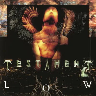 Immagine prodotto di Testament - Low (180g) (LP)