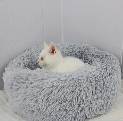 Image de Lit en peluche antidérapant avec parois latérales, animaux domestiques jusqu'à 2,5 kg, 40 cm de diamètre, petit, lit pour chien, lit pour chat gris clair