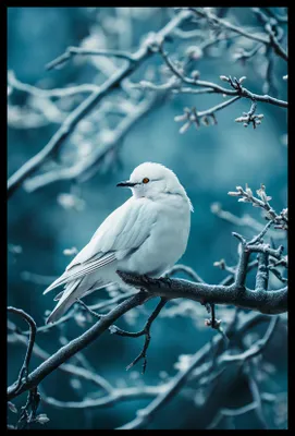 Produktbild von Plakat 40x60cm Perlenvogel
