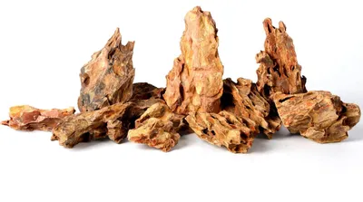 Zdjęcie produktu dla Kamienie dekoracyjne do akwarium - Smocze kamienie - 5,5 - 10,5 cm - Zestaw 10 szt. - Naturalny kamień