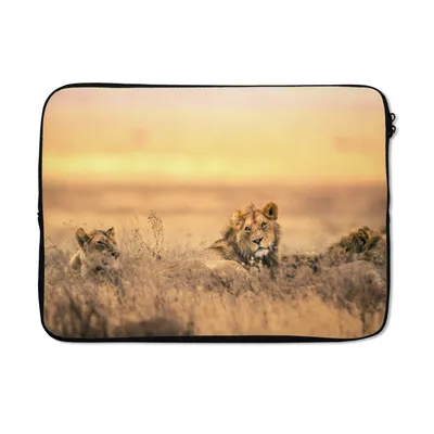 Produktbild von MuchoWow® Laptop Hülle 14 ZollLöwen - Gras - Himmel Laptoptasche - Laptoptasche - Stoßsicher - Schutzhaube