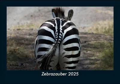 Produktbild von Zebrazauber 2025 Fotokalender DIN A5