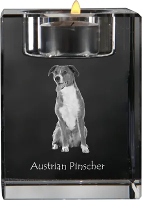 Immagine prodotto di Art-Dog Portacandela tealight – Pinscher austriaco