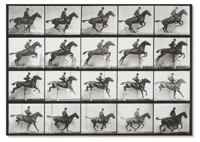 Produktbild von POSTER - 42x29 cm (A3) - Eadweard Muybridge - Tierische Fortbewegung, Tafel 640 (1887), Reiten, fotografiert von Eadweard Muybridge - Wandbild für Wohnzimmer Schlafzimmer & Flur, Modernes Poster Wanddeko, Ungerahmt