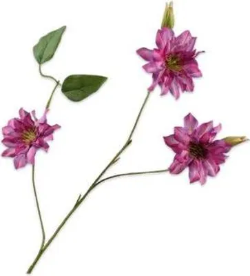 Produktbild von Kunstblume von Silk-ka – Seidenblumen-Waldrebenzweig, rot-orange, 98 cm