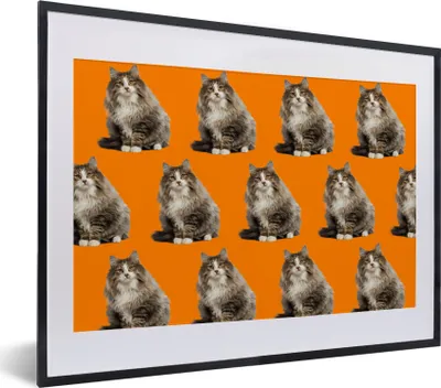 Produktbild von MuchoWow® MuchoWow® Gerahmtes Poster Haustier - Muster - Orange 40x30 cm - Poster mit zchwarzem Bilderrahmen - Bilderrahmen - Poster im Rahmen