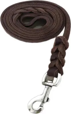 Produktbild von Hundetrainingsleine mit Karabiner, robuste Hundeleine für große, mittlere und kleine Hunde