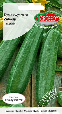 Produktbild von Samen des Gewöhnlichen Kürbisses - Torsaat