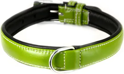 Produktbild von Monkimau Hundehalsband aus Leder Halsband für Hunde Lederhalsband grün gepolstert XS-S