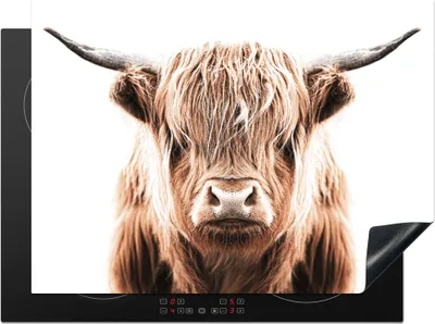 Produktbild von KitchenYeah© Herdabdeckplatte Schottischer Highlander - Tiere - Stier , 71x52cm, Küche Deko, Glaskeramikkochfeld Herdabdeckung, Abdeckplatte fùr Kochfeld