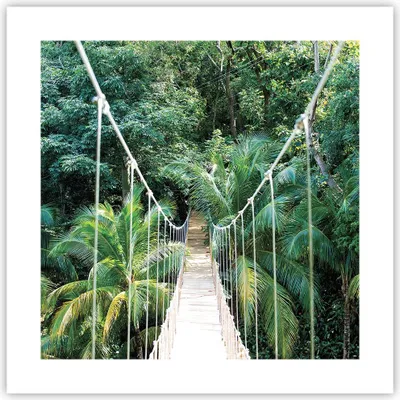 Produktbild von Poster - Poster ohne Rahmen - Tropen Dschungel Brücke - 40x40 cm - Wand Bild - Wanddeko - Wandbilder - Kunstposter - Wandposter - Bilder - Kunstdruck - Wanddekoration - Wandbild - P2XAC40x40-4963