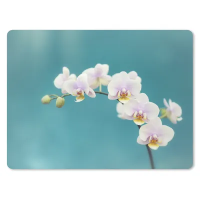 Produktbild von MuchoWow® Mauspad Mousepad Orchidee - Blumen - Pflanze - Weiß - Lila 40x30 cm - Mousepads - Maus Mat - Pad - Mausunterlage - Anti Rutsch