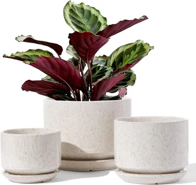 Image de Pots en céramique pour plantes, 10,5 + 13 + 17 cm, lot de 3, pots de fleurs avec trou de drainage et soucoupe