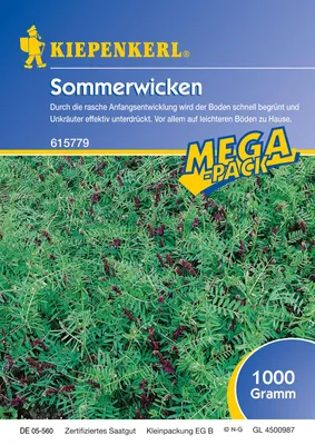 Produktbild von Sommerwicke (1 kg) | Gründünger von Kiepenkerl