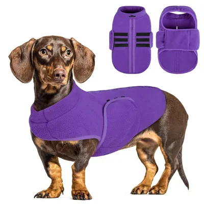 Image de Gilet en polaire pour chien, veste d'hiver chaude pour chiens et chats de petite à moyenne taille, couleur violet, taille M
