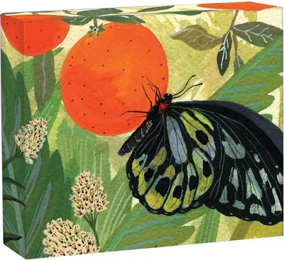 Produktbild von Butterflies QuickNotes