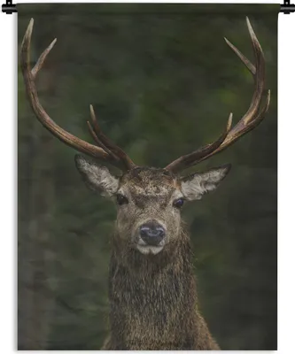 Produktbild von MuchoWow® Wandteppich Wandbehang Hirsche - Geweihe - Tiere 150x200 cm Tapisserie Dekoration Wandtuch - Wandaufhängung - Moderner