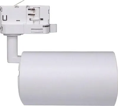 Image de Spot LED sur Rail Triphasé CCT 30W 60° Blanc - 3000K/4000K/6500K