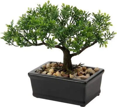 Produktbild von Kunstliche Pflanze Bonsai schwarz Keramiktopf Dekoration