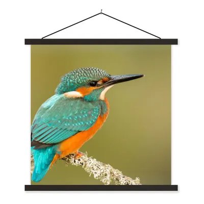 Produktbild von MuchoWow® Textilposter Eisvogel - Tiere - Vogel 90x90 cm mit schwarzem Rahmen - Magnetisches