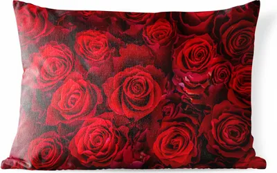 Produktbild von MuchoWow® Outdoor Kissen - Blumen - Rosen - Rot - 50x30 cm - Wetterfest - Lounge Kissen - Sofa kissen - Wohnzimmer Dekoration