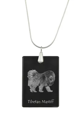 Produktbild von Do khyi, Tibetdogge, Tibetanische Dogge, Tibetmastiff - Kristallanhänger mit Hund, Silberhalskette mit Foto, personalisierter Anhänger der Marke Art-Dog