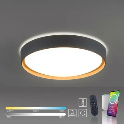 Image de Selltec LED Plafonnier Q EMILIA Smart Home dimmable Télécommande contrôlable App Applique grise Salon, chambre, couloir, cuisine, bureau 6118-15