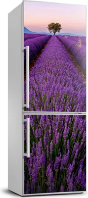 Produktbild von Tulup Kühlschrankdekoration - 70x190 cm - Aufkleber auf dem Kühlschrank - Lavendelfeld