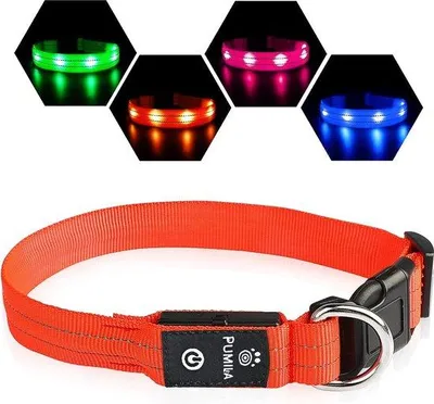 Obrázok produktu pre Psí obojok s LED diódami, dobíjateľný, blikajúci, reflexný