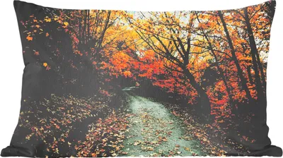 Produktbild von MuchoWow® Zierkissen Sofakissen Wohnzimmer Dekokissen 60x40 cm Blätter - Herbst - Wald - Kopfkissen - Polster mit Foto
