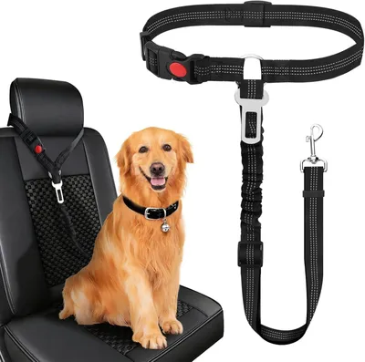 Produktbild von 2-in-1 Hunde-Anschnallgurt, Verstellbare Autoleine mit Ruckdämpfer für kleine und mittelgroße Hunde