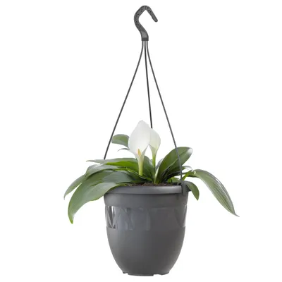 Produktbild von Blumentopf Hängeampel 24 cm Durchmesser Farbe Anthrazit