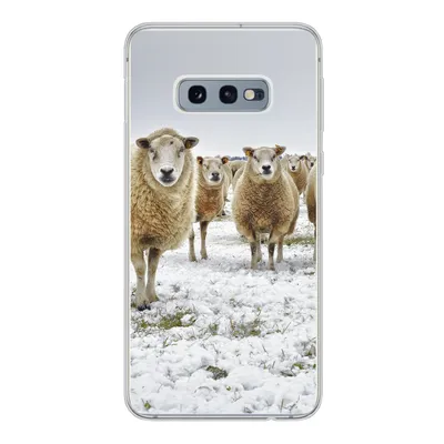 Produktbild von MuchoWow® Handyhülle Schutzhülle Hülle für Samsung Galaxy S10e Schafe - Wolle - Schnee Silikon Softcase Handy Hülle - Handy