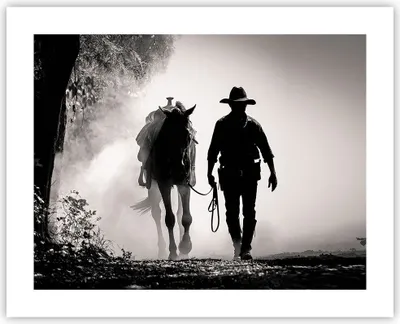 Produktbild von Poster - Poster ohne Rahmen - Cowboy Pferd Shady - 50x40 cm - Wand Bild - Wanddeko - Wandbilder - Kunstposter - Wandposter - Bilder - Kunstdruck - Wanddekoration - Wandbild - P2XAA50x40-4620