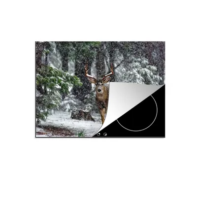 Produktbild von KitchenYeah© Herdabdeckplatte Rotwild - Schnee - Geweih - Wald , 77x59cm, Küche Deko, Glaskeramikkochfeld Herdabdeckung, Abdeckplatte fùr Kochfeld