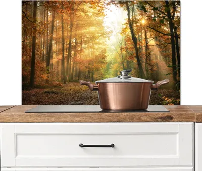 Obrázok produktu pre KitchenYeah® splashback kuchyňa - kuchynský splashback - ochrana steny sporáka a drezu - les - jeseň - slnko - krajina - príroda - stromy - lístie 90x60 - hliníkový dibond (alternatíva k sklenenému splashbacku)